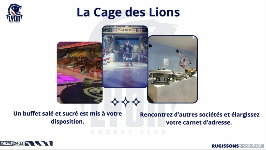 Cage des lions playoffs